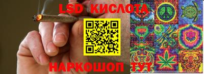 spice Изобильный