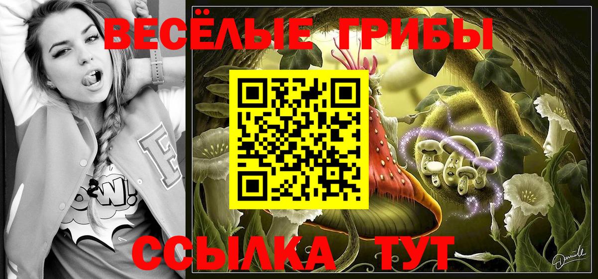 Псилоцибиновые грибы прущие грибы Магадан